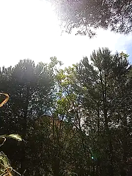 yoahotpetrafiery's Live XXX Chat