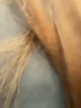 AnitaFly Live XXX Chat