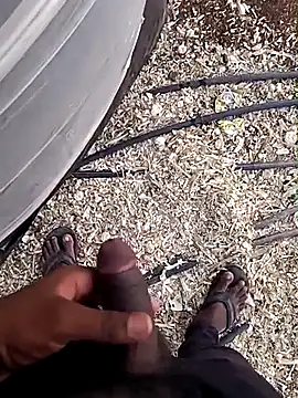 عرض كام babu_bull