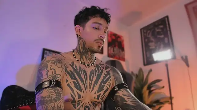 TigerStripes1_n Webbikameraesitys