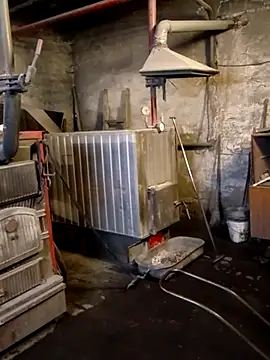 _uncle_Mitya-43_ élő XXX-chatje