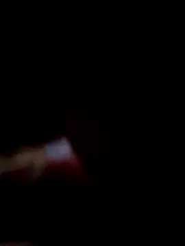 EdelGast1@xh: διαδικτυακό σόου στην κάμερα