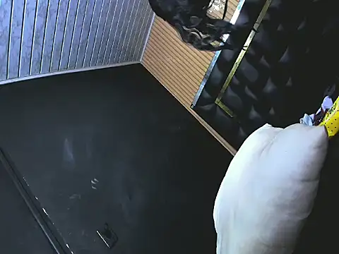 nathasha-hotts Webcam-Show