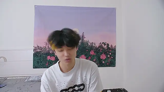 icecream-002 webkamerás műsora