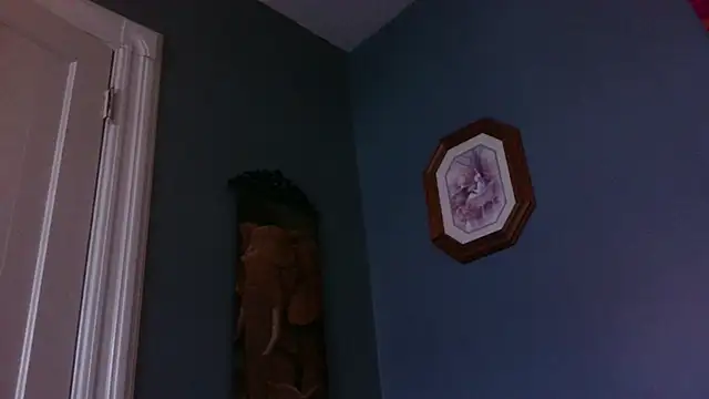 Show webcam de hpluvsplata