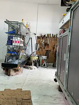 Paul22cm-'s Live XXX Chat