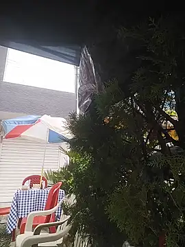 wet_vika: вебкам-шоу