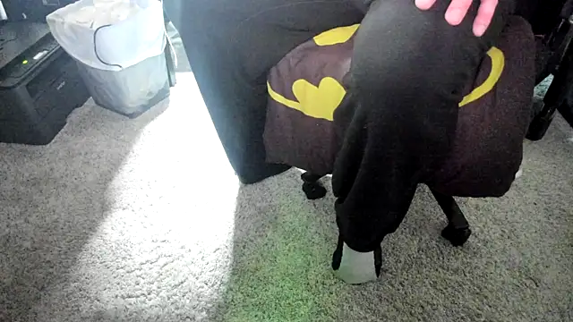 Show webcam de Ironpt03