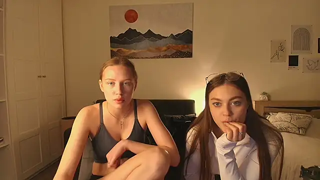 Show Webcam de findwayout