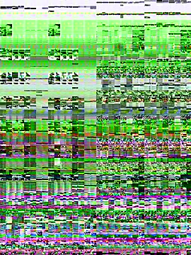 Chatroom XXX en direct de Daniela_Pink