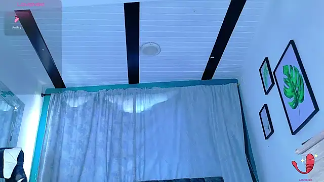 Dantekent 웹캠 쇼