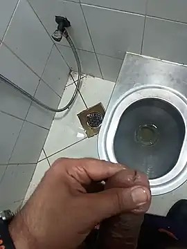 Stallionbull37 Pertunjukan Webcam