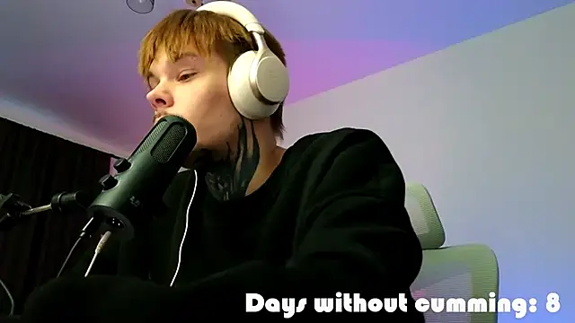 DENIS_HEREn Webbikameraesitys