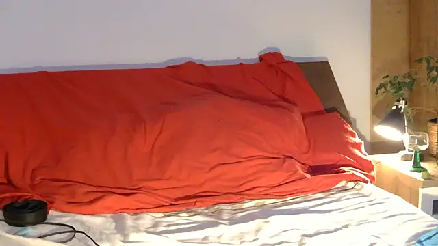 عرض كام EdelHolz91