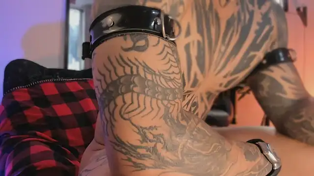 แชท XXX สดของ TigerStripes1_