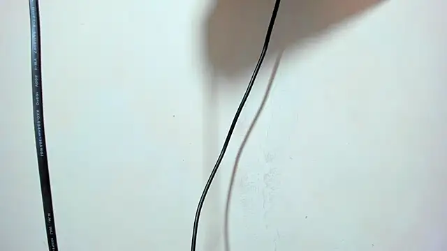 Živý XXX chat ZeusBrant