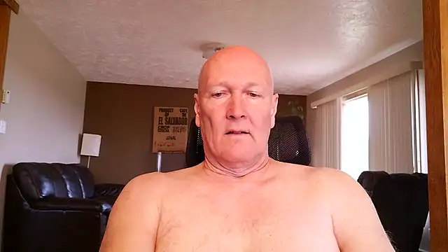 BasicAnt Show in webcam