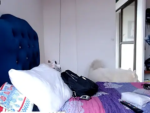 MisNicol Chat XXX live