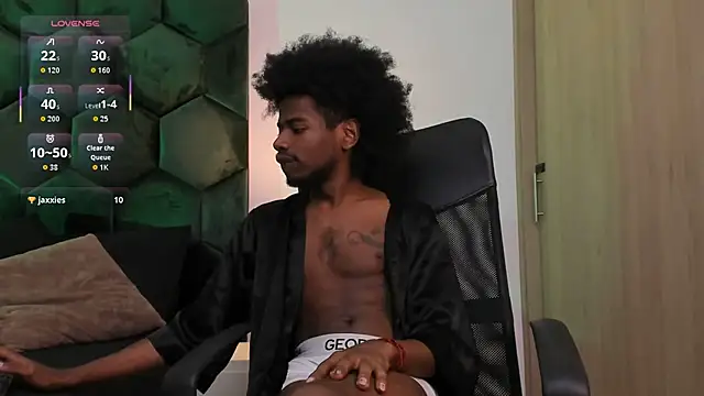 AllexJacobn Webbikameraesitys