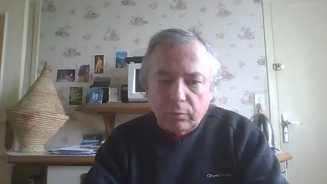 Show de webcam de gegevincent5