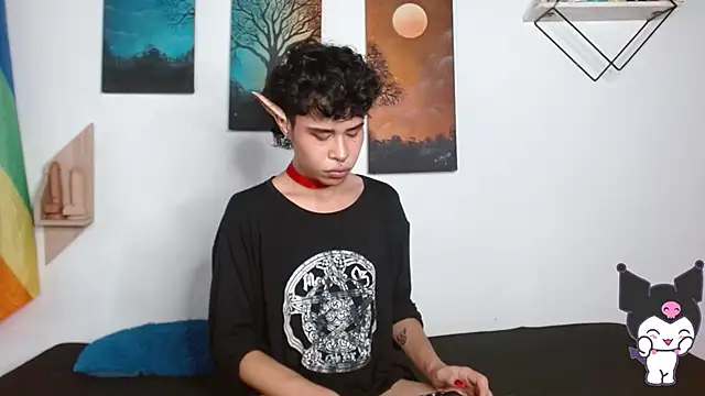 Show webcam de nicolai_a