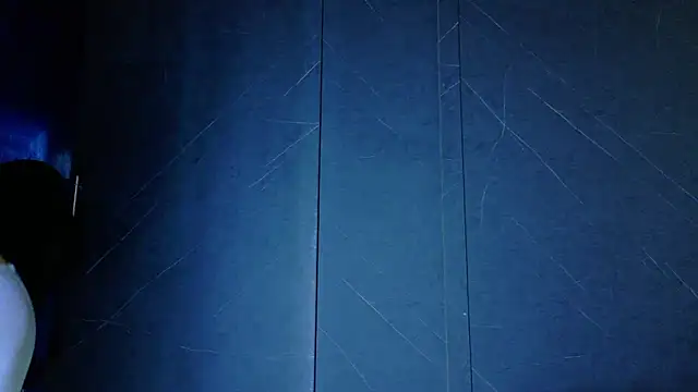 ALANNFERRERのウェブカメラショー