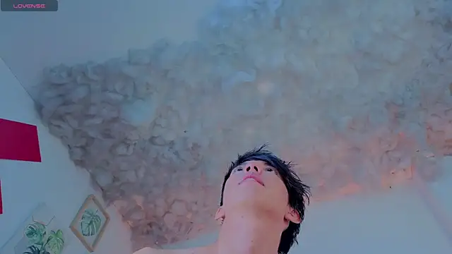 Levii_Ackermannのウェブカメラショー