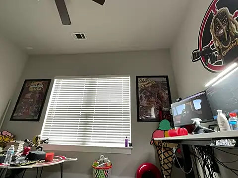 4EVAGLACIERS Pertunjukan Webcam