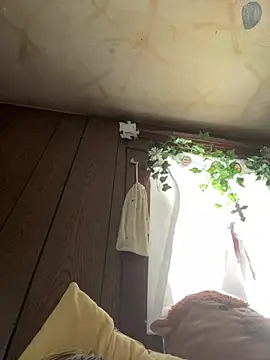 Вебкам-шоу curtdick56