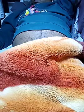 SADDLECOCKn Webbikameraesitys