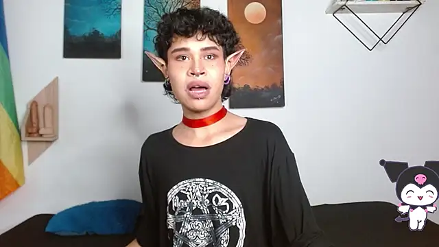 Show webcam de nicolai_a