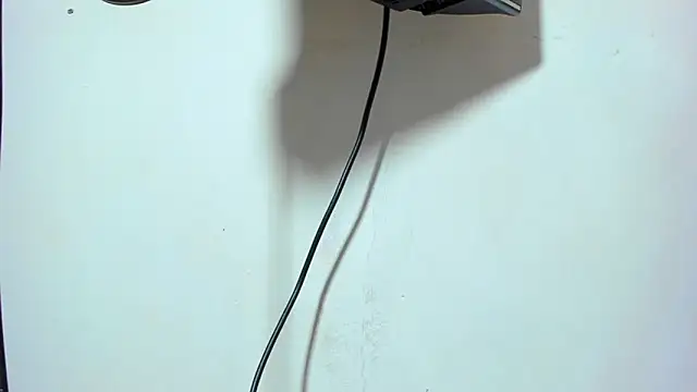 ZeusBrant Chat XXX live