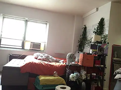 littyleesh1 – Naživo XXX chat