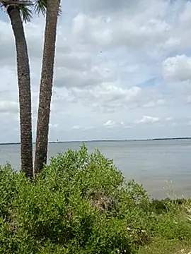 sarahkat86 Live XXX-chat