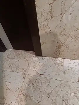 coocon2020 网络视讯表演