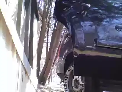 Show webcam de Yankeedave420