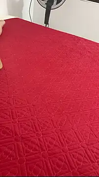 vietAnhzip webkamerás műsora