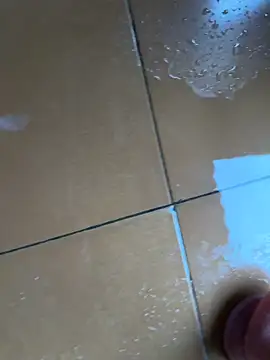 Wet-Pussycat Webcam show