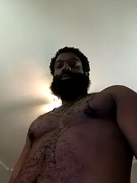 T92bbc Show in webcam