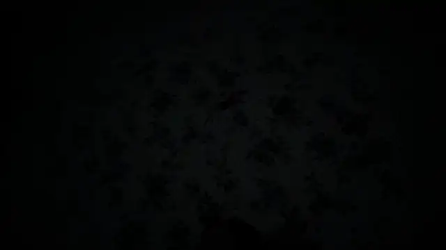 Show Webcam de Big8inchUncutCock