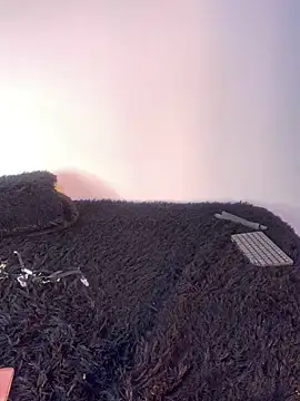 Show Webcam de -Jack_Zoe-