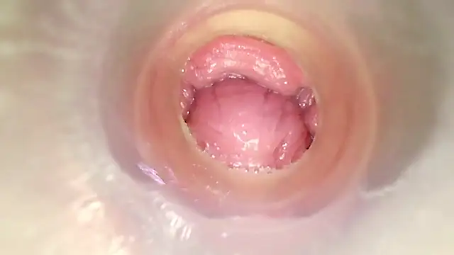 Chat XXX en directo de karol_kane