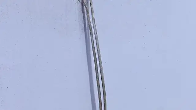 عرض كام zihan777