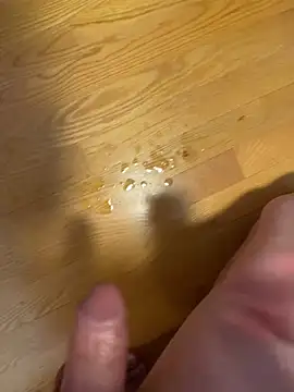 StrokingSon15 Webcamshow