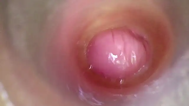 عرض كام karol_kane