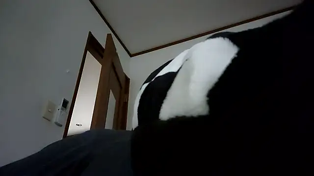 07YUKIOのウェブカメラショー