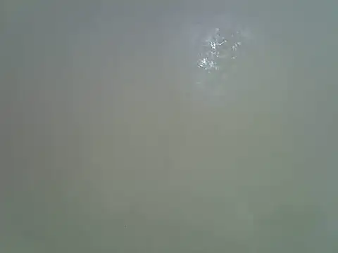 Rasta_tattooed – Live XXX-chat