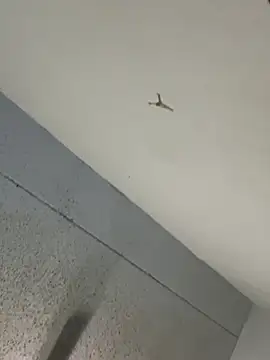 Show Webcam de bigdick5157