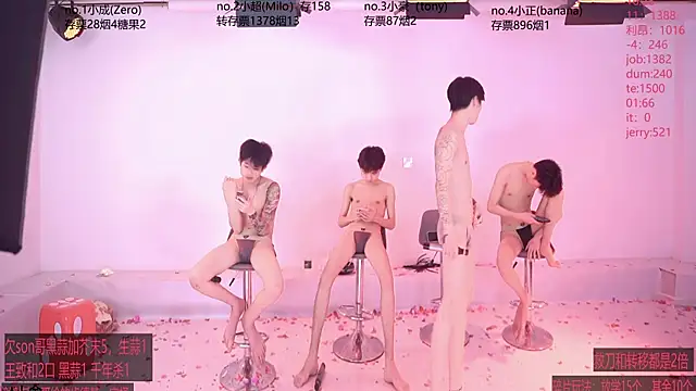 Show webcam de woshididimen