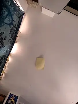 عرض كام cumm_alex